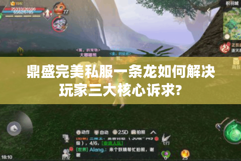 鼎盛完美私服一条龙如何解决玩家三大核心诉求?