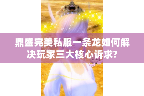 鼎盛完美私服一条龙如何解决玩家三大核心诉求?