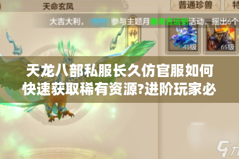 天龙八部私服长久仿官服如何快速获取稀有资源?进阶玩家必看攻略