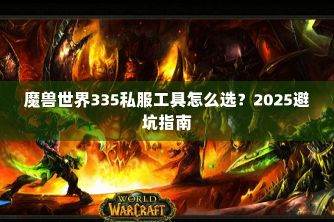 魔兽世界335私服工具怎么选？2025避坑指南