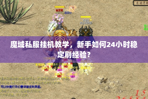 魔域私服挂机教学，新手如何24小时稳定刷经验？