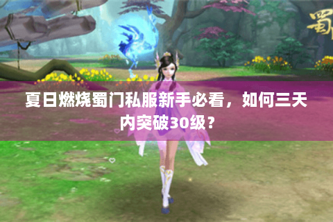 夏日燃烧蜀门私服新手必看，如何三天内突破30级？