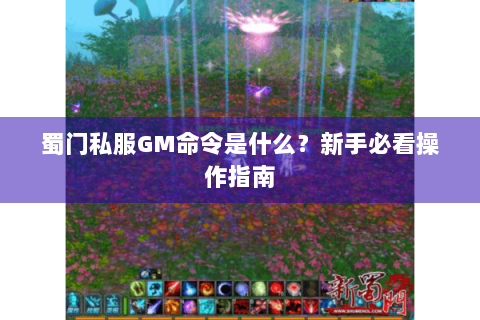 蜀门私服GM命令是什么？新手必看操作指南
