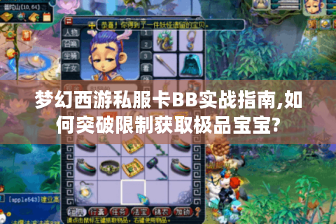 梦幻西游私服卡BB实战指南,如何突破限制获取极品宝宝?