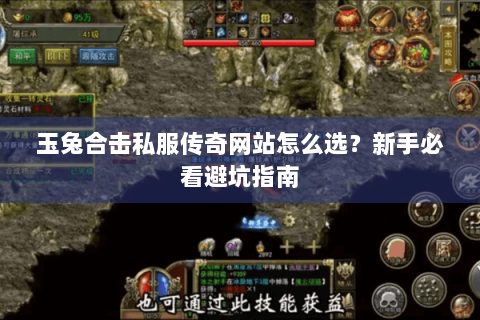 玉兔合击私服传奇网站怎么选？新手必看避坑指南