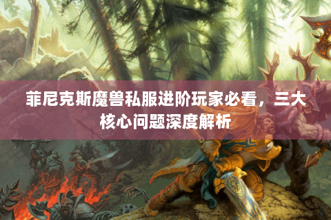 菲尼克斯魔兽私服进阶玩家必看，三大核心问题深度解析