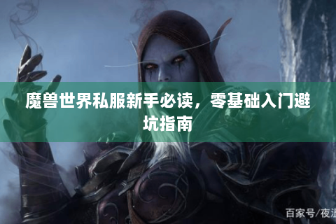 魔兽世界私服新手必读，零基础入门避坑指南