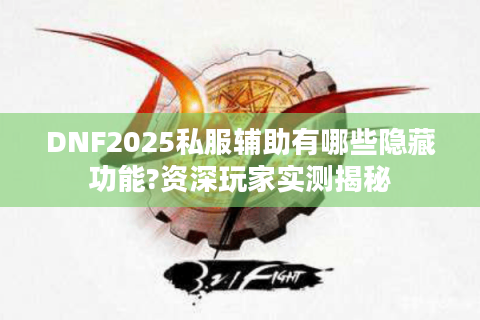 DNF2025私服辅助有哪些隐藏功能?资深玩家实测揭秘