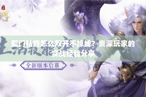 蜀门私服怎么双开不掉线？资深玩家的实战经验分享