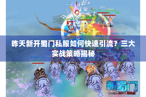 昨天新开蜀门私服如何快速引流？三大实战策略揭秘