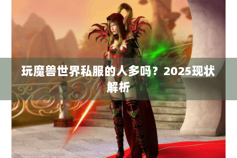 玩魔兽世界私服的人多吗？2025现状解析