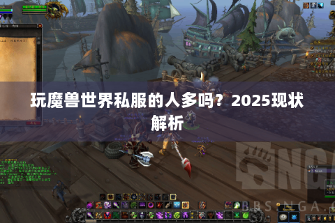 玩魔兽世界私服的人多吗？2025现状解析
