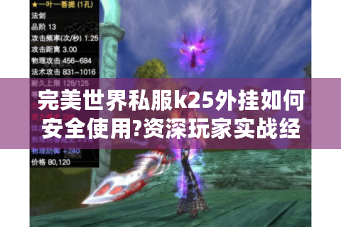 完美世界私服k25外挂如何安全使用?资深玩家实战经验分享