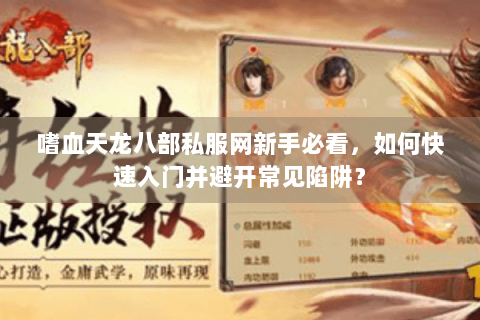 嗜血天龙八部私服网新手必看，如何快速入门并避开常见陷阱？