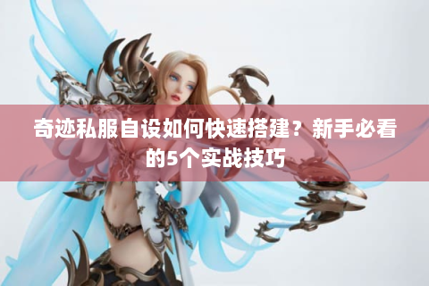 奇迹私服自设如何快速搭建？新手必看的5个实战技巧