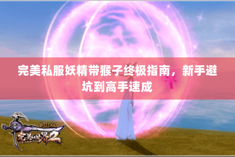完美私服妖精带猴子终极指南，新手避坑到高手速成