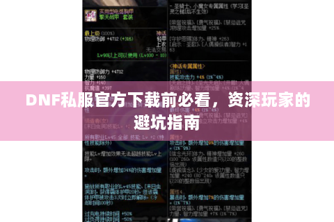 DNF私服官方下载前必看，资深玩家的避坑指南