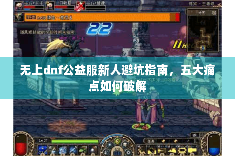 无上dnf公益服新人避坑指南，五大痛点如何破解