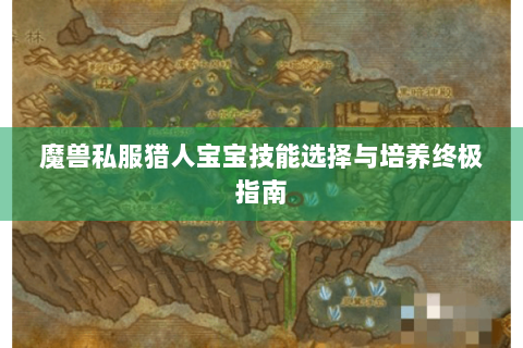 魔兽私服猎人宝宝技能选择与培养终极指南