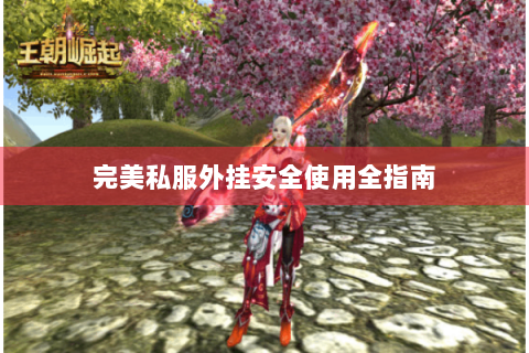 完美私服外挂安全使用全指南