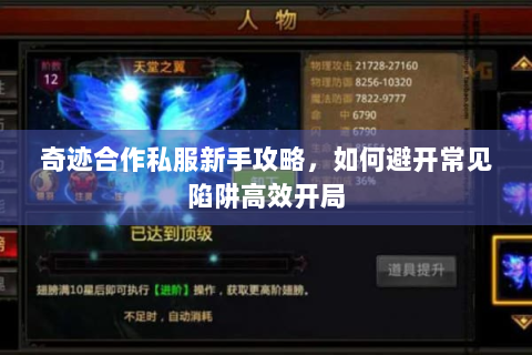 奇迹合作私服新手攻略，如何避开常见陷阱高效开局