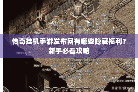 传奇挂机手游发布网有哪些隐藏福利？新手必看攻略