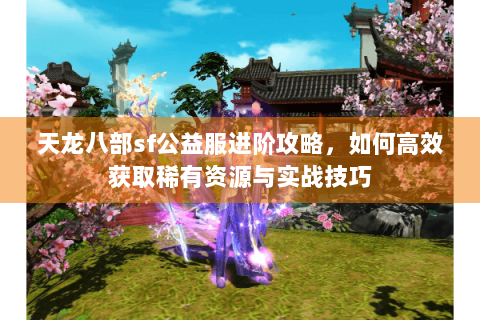 天龙八部sf公益服进阶攻略，如何高效获取稀有资源与实战技巧