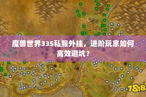魔兽世界335私服外挂，进阶玩家如何高效避坑？