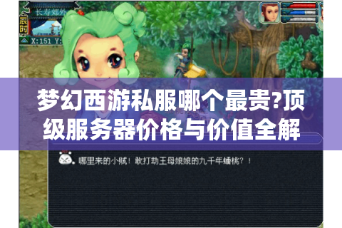 梦幻西游私服哪个最贵?顶级服务器价格与价值全解析
