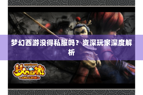 梦幻西游没得私服吗？资深玩家深度解析