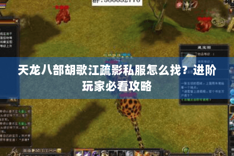天龙八部胡歌江疏影私服怎么找？进阶玩家必看攻略