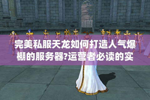 完美私服天龙如何打造人气爆棚的服务器?运营者必读的实战经验分享