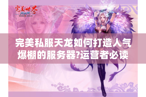 完美私服天龙如何打造人气爆棚的服务器?运营者必读的实战经验分享