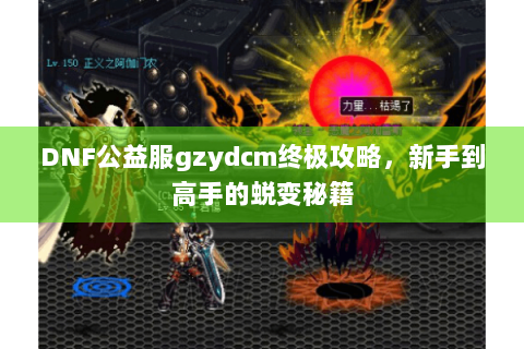 DNF公益服gzydcm终极攻略，新手到高手的蜕变秘籍