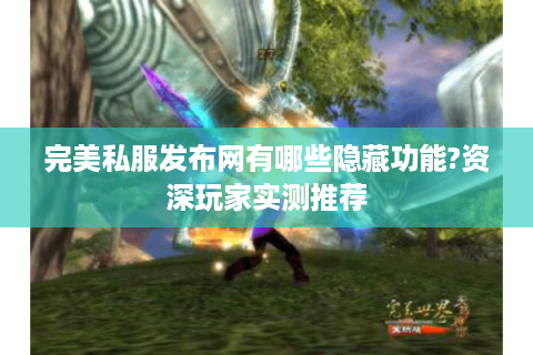 完美私服发布网有哪些隐藏功能?资深玩家实测推荐