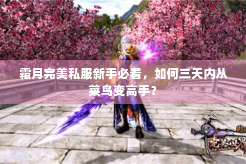 霜月完美私服新手必看，如何三天内从菜鸟变高手？