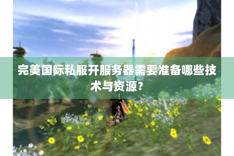 完美国际私服开服务器需要准备哪些技术与资源？