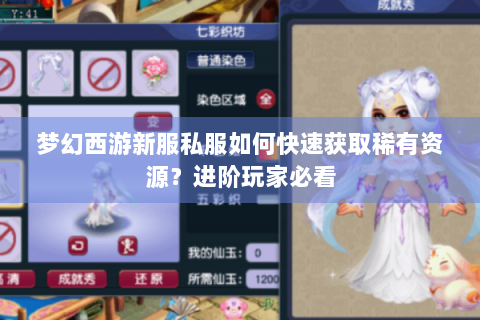 梦幻西游新服私服如何快速获取稀有资源？进阶玩家必看