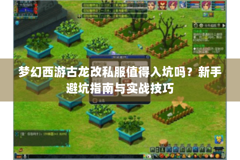梦幻西游古龙改私服值得入坑吗？新手避坑指南与实战技巧