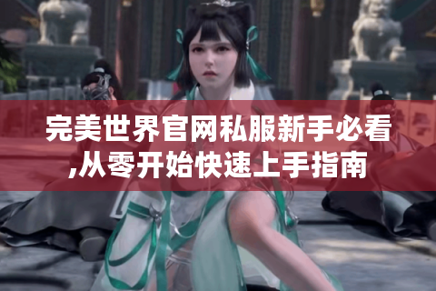 完美世界官网私服新手必看,从零开始快速上手指南