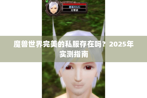 魔兽世界完美的私服存在吗？2025年实测指南