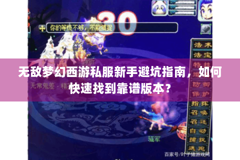 无敌梦幻西游私服新手避坑指南，如何快速找到靠谱版本？