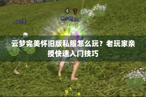 云梦完美怀旧版私服怎么玩？老玩家亲授快速入门技巧