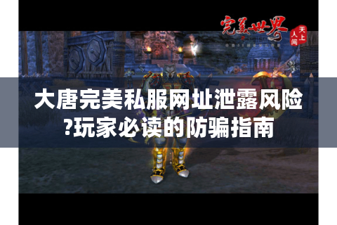 大唐完美私服网址泄露风险?玩家必读的防骗指南