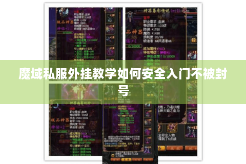 魔域私服外挂教学如何安全入门不被封号