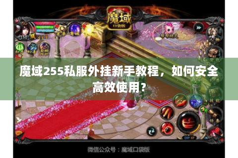 魔域255私服外挂新手教程，如何安全高效使用？