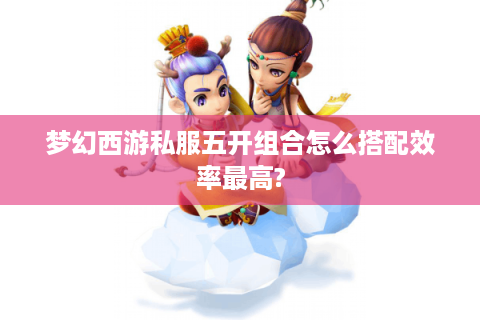 梦幻西游私服五开组合怎么搭配效率最高?