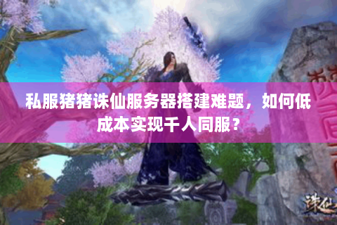 私服猪猪诛仙服务器搭建难题，如何低成本实现千人同服？