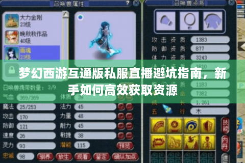 梦幻西游互通版私服直播避坑指南，新手如何高效获取资源