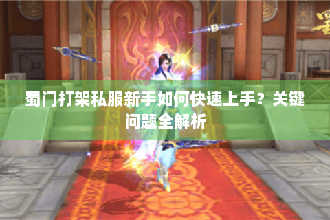 蜀门打架私服新手如何快速上手？关键问题全解析